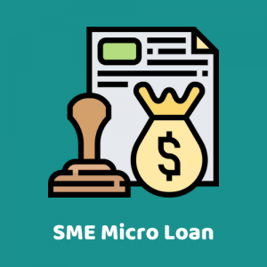 One-Stop Financial Website Icon (SME Micro Loan)