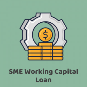One-Stop Financial Website Icon (SME Working Capital Loan)