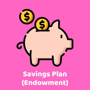 One-Stop Financial Website Icon (Savings Plan Endowment)