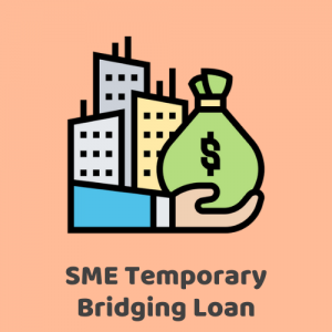 One-Stop Financial Website Icon (SME Temporary Bridging Loan TBL)